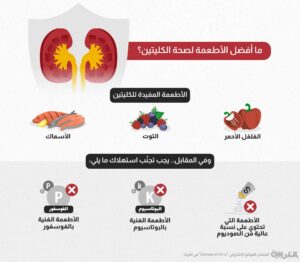 يتناول المقال أهمية الكلى وكيفية الحفاظ على صحتها من خلال نظام غذائي مناسب. يستعرض الأطعمة المفيدة مثل الفلفل الأحمر والتوت والأسماك، بالإضافة إلى الأطعمة التي يجب تجنبها مثل الأطعمة العالية في الصوديوم والبوتاسيوم والفوسفور. كما يسلط الضوء على وظائف الكلى وأهمية شرب الماء وتقليل الملح.